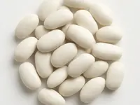 Fasola biała