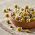 Dried chamomile flowers