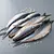 Salted herring (matias fillets)