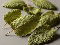 Dried lemon balm
