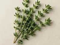 Świeży tymianek
