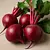 Beets (raw)