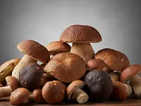 Grzyby leśne świeże