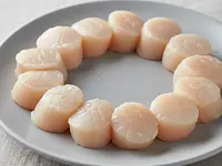 Scallops (Saint Jacques shellfish)