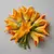 Zucchini flowers