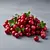 Fresh cranberry