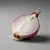 Shallot onion