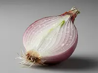 Cebula szalotka