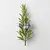 Sprig of fresh rosemary