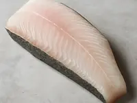 Halibut