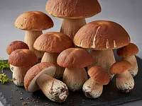 Grzyby leśne (świeże)