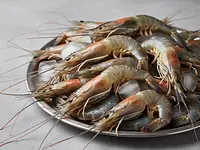 Krewetki tygrysie surowe