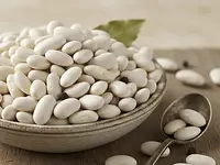 Fasola biała 'piękny jaś'