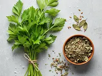 Lubczyk świeży lub suszony