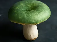 Green goose