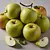 Apples (e.g. gray renet, antonovka)