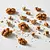 Chopped walnuts