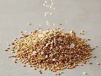 Nasiona sezamu