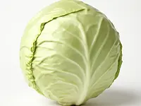 White cabbage