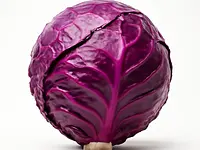 Kapusta czerwona