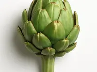 Artichoke