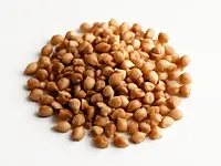 Buckwheat groats