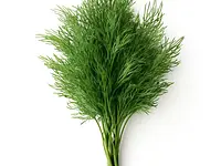 Dill