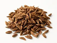 Kminek