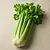 Celery