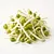 Mung bean sprouts