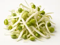 Mung bean sprouts
