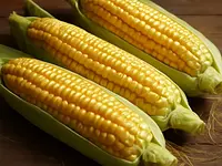 Corn (fresh)