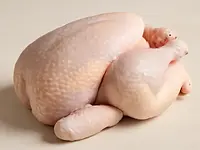Kurczak