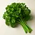Parsley