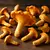 Chanterelles
