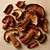 Dried mushrooms