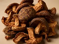Dried mushrooms