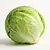 Iceberg lettuce