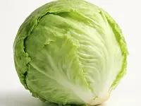 Iceberg lettuce