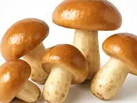Butter mushrooms
