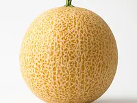Melon