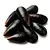 Mussels