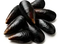 Mussels