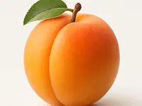 Apricot