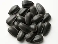 Nasiona słonecznika