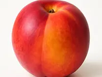 Nectarine