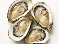 Ostrygi