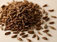 Caraway (common caraway)