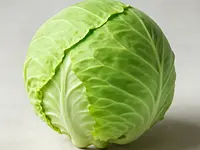 White cabbage