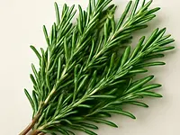 Rosemary